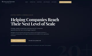 Blasingame Ventures website screenshot